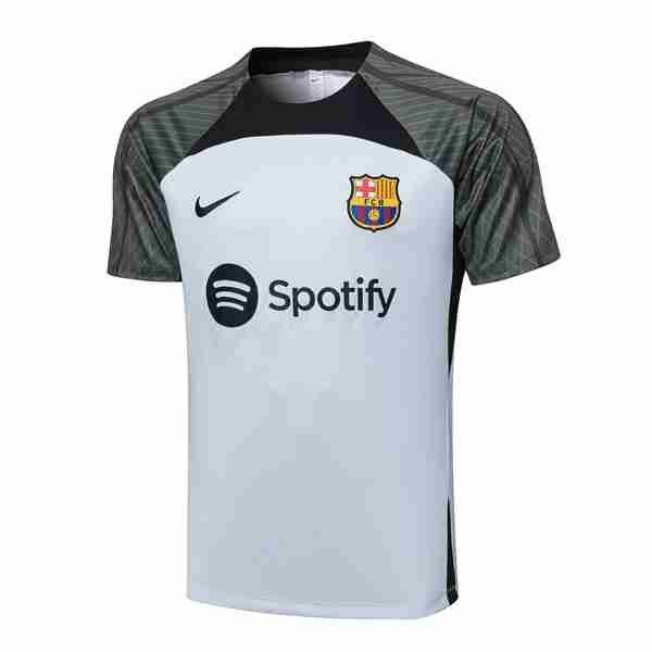 Camiseta Entrenamiento Barcelona 2024 Gris Tailandia Camiseta FC Barcelona Entrenamiento 2024 Gris