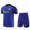 Tailandia Conjunto Equipacion FC Barcelona Entrenamiento 2024 2025 Purpura