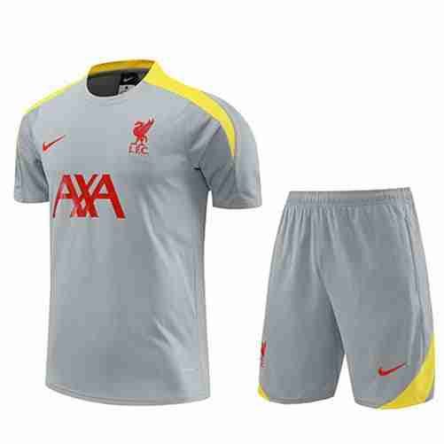 Tailandia Conjunto Equipacion Liverpool Entrenamiento 2024 2025 Gris Tailandia Conjunto Equipacion Liverpool Entrenamiento 2024 2025 Gris