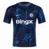Tailandia Equipacion Chelsea Pre Match 2024 2025