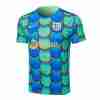Tailandia Equipacion FC Barcelona Entrenamiento 2024 2025 Verde Azul