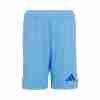 Tailandia Pantalones Real Madrid Portero 2024 2025
