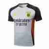Tailandia Equipacion Benfica Entrenamiento 2025 2026 Gris