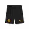 Pantalones Borussia Dortmund CUP 2025 2026