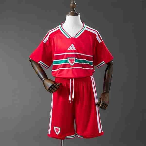Camiseta Gales 1ª Niño 2026 Equipacion Gales Conjunto Niños Primera 2026