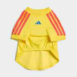 Equipacion Colombia Para Mascotas 2026_1